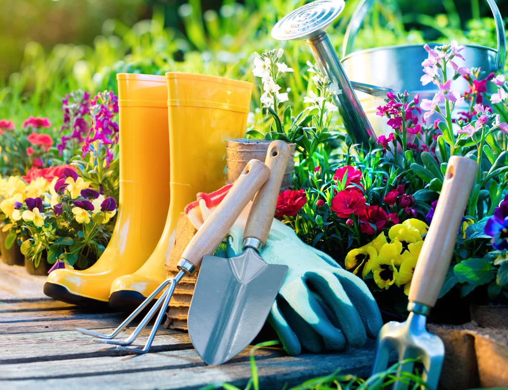 Essential Garden Tools for Starters