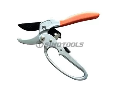 Pruning Shear