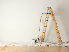 Paint Sprayer vs. Roller